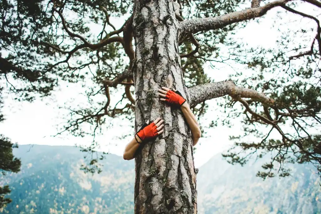 Bijzondere kurk tassen bijzondere kurk tassen